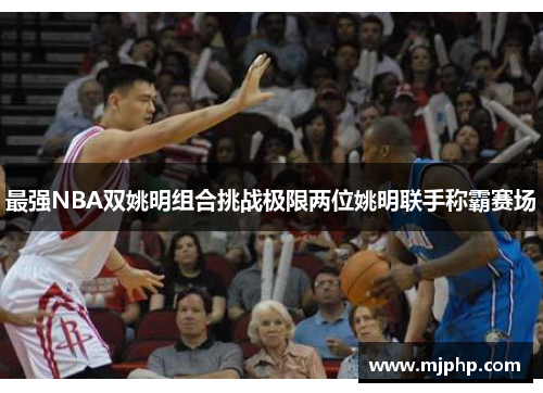 最强NBA双姚明组合挑战极限两位姚明联手称霸赛场