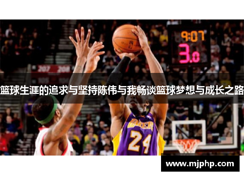 篮球生涯的追求与坚持陈伟与我畅谈篮球梦想与成长之路