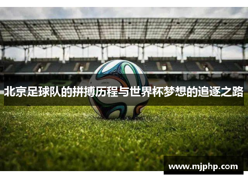 北京足球队的拼搏历程与世界杯梦想的追逐之路