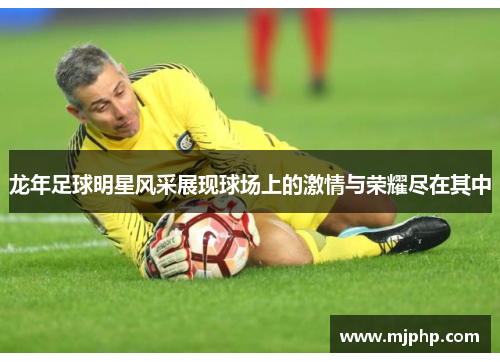 龙年足球明星风采展现球场上的激情与荣耀尽在其中